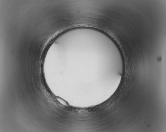 X0000114990395200912071121