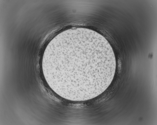 X0000114990396200912071121