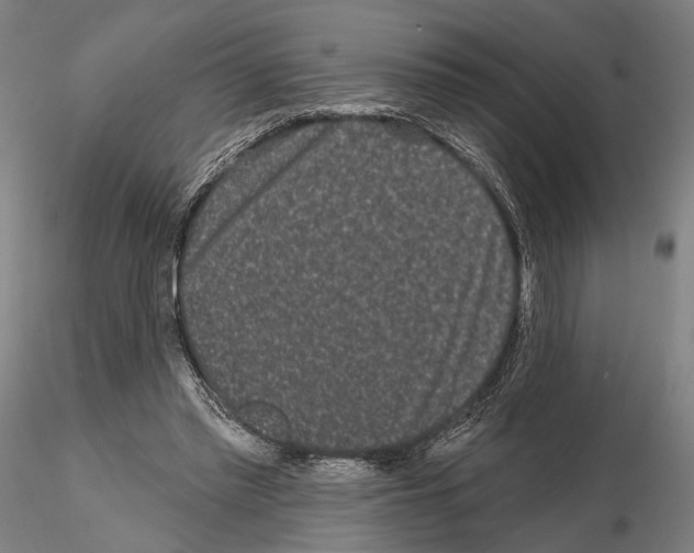 X0000114990397200912071121