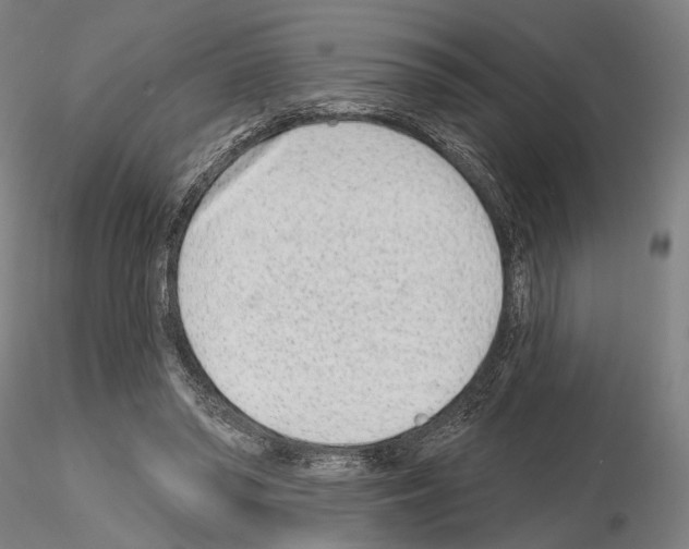 X0000114990398200912071121