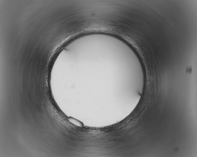 X0000114990399200912071121