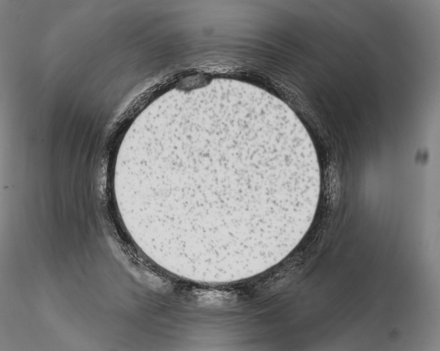 X0000114990400200912071121