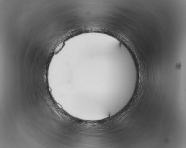 X0000114990401200912071121