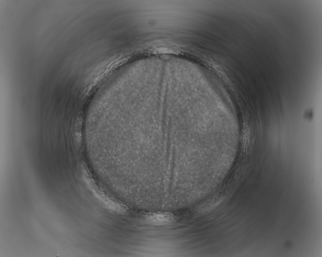 X0000114990402200912071121