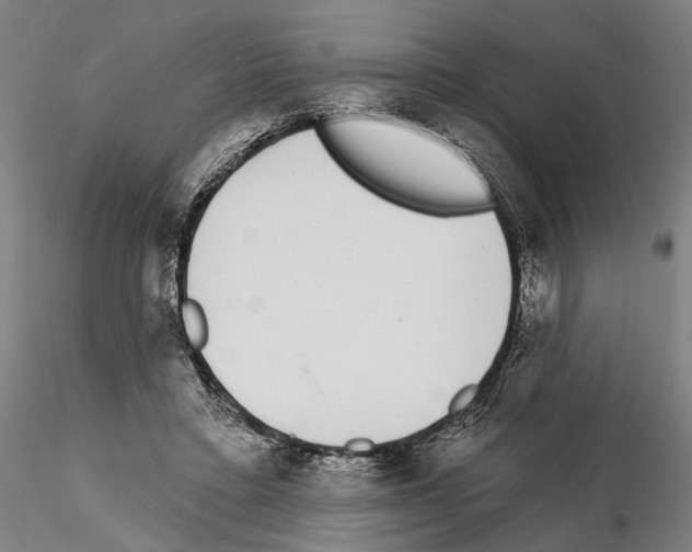 X0000114990403200912071121