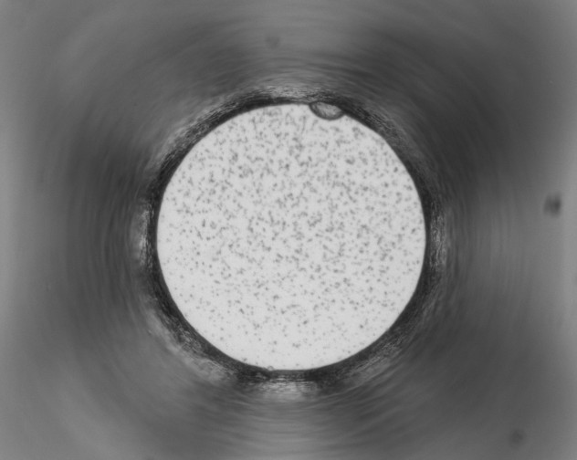 X0000114990404200912071121