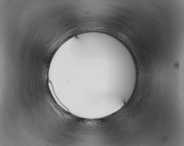 X0000114990405200912071121