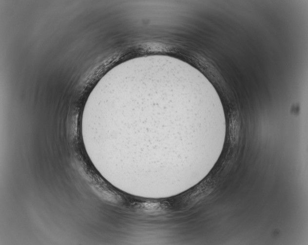 X0000114990406200912071121