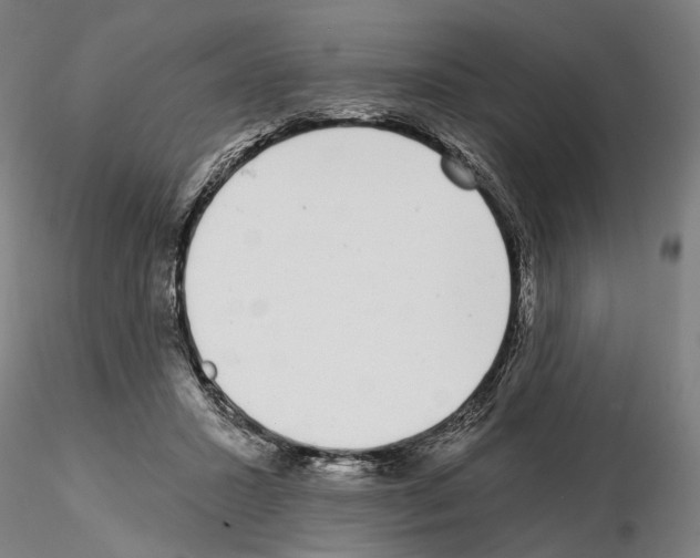 X0000114990407200912071121