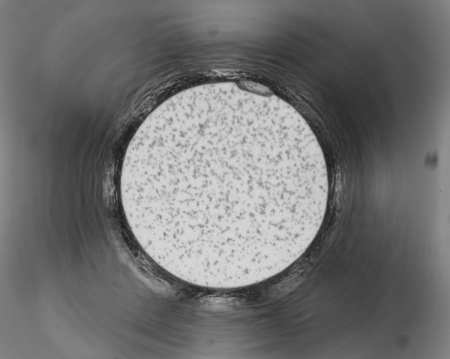 X0000114990408200912071121