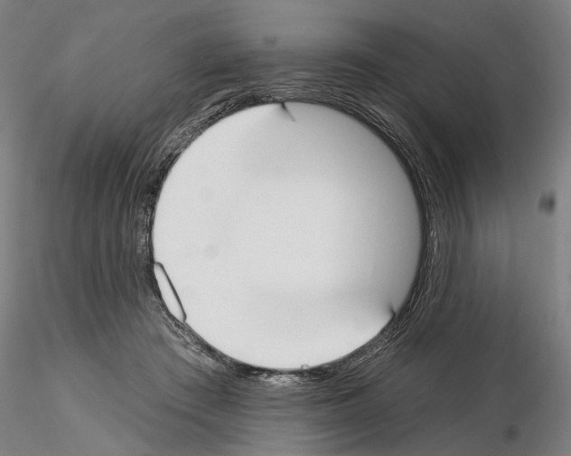 X0000114990409200912071121