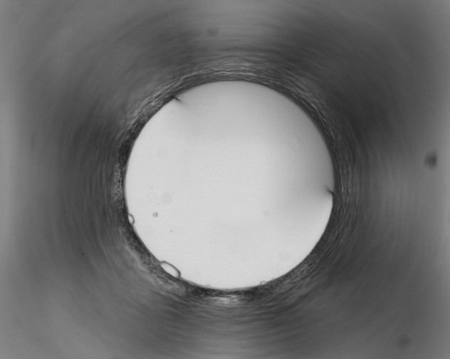 X0000114990411200912071121