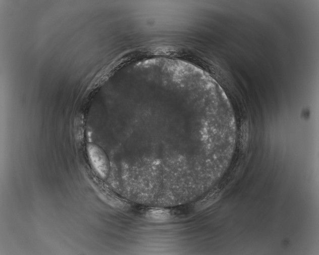 X0000114990413200912071121