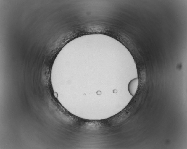 X0000114990414200912071121