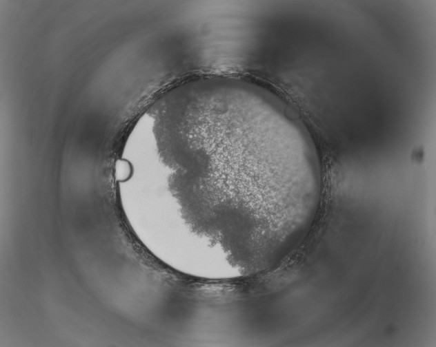 X0000114990415200912071121