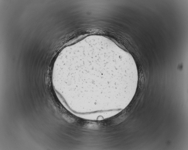 X0000114990416200912071121