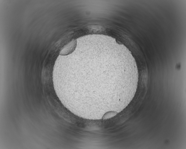 X0000114990417200912071121