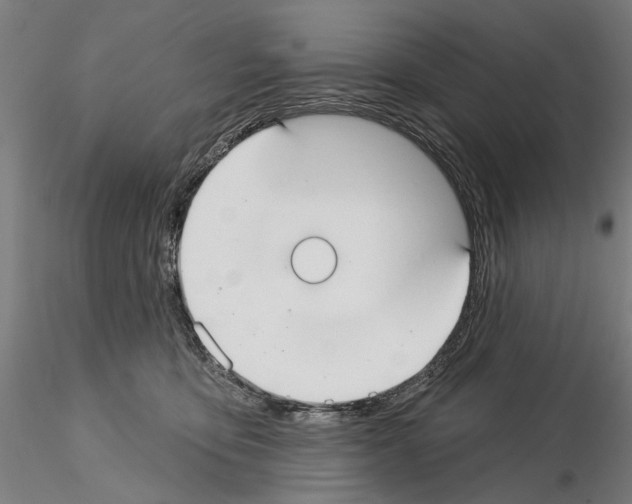 X0000114990419200912071121