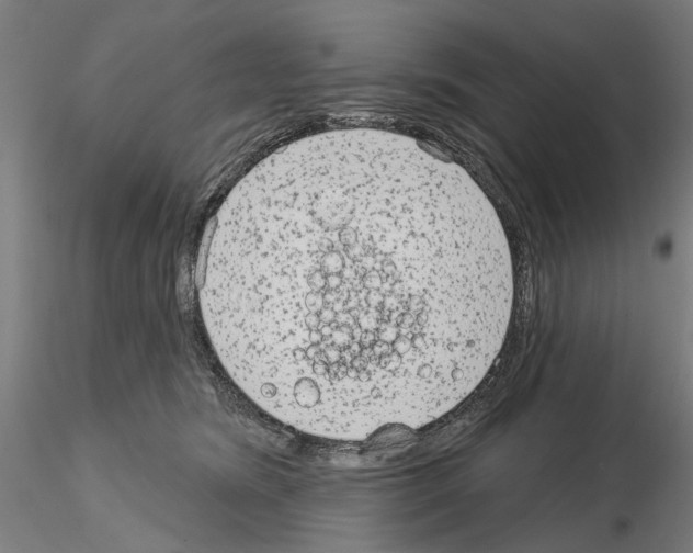 X0000114990420200912071121