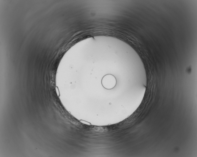 X0000114990421200912071121