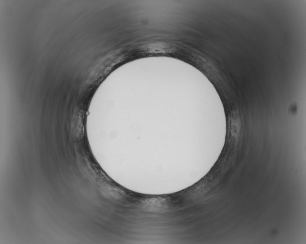 X0000114990422200912071121