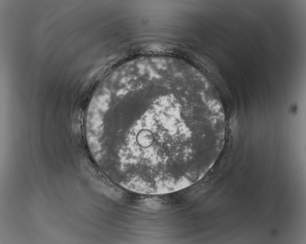 X0000114990423200912071121