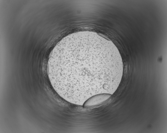 X0000114990424200912071121