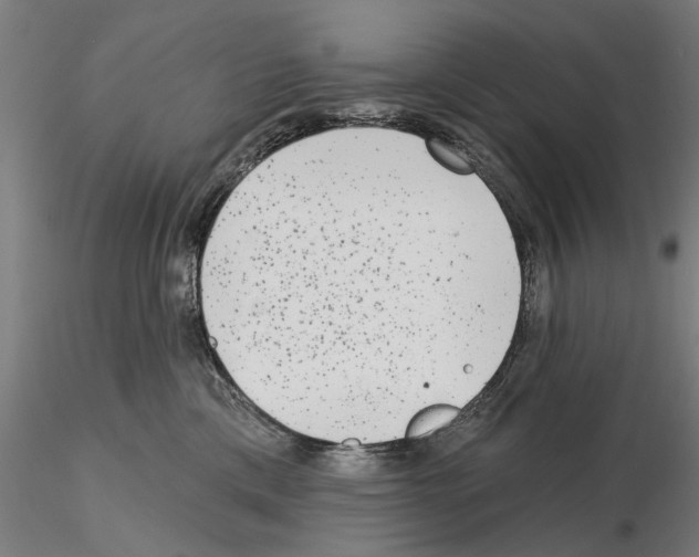 X0000114990425200912071121