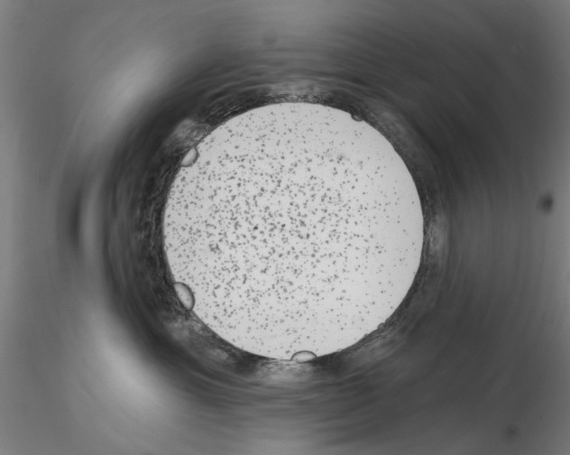 X0000114990429200912071121