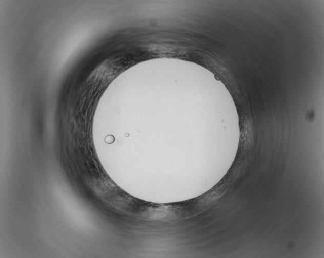 X0000114990430200912071121