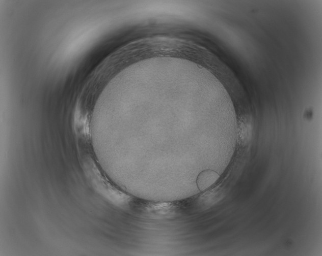 X0000114990431200912071121