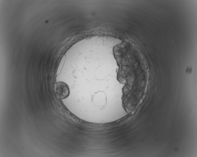 X0000114990432200912071121