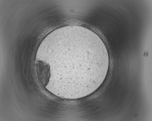 X0000114990433200912071120