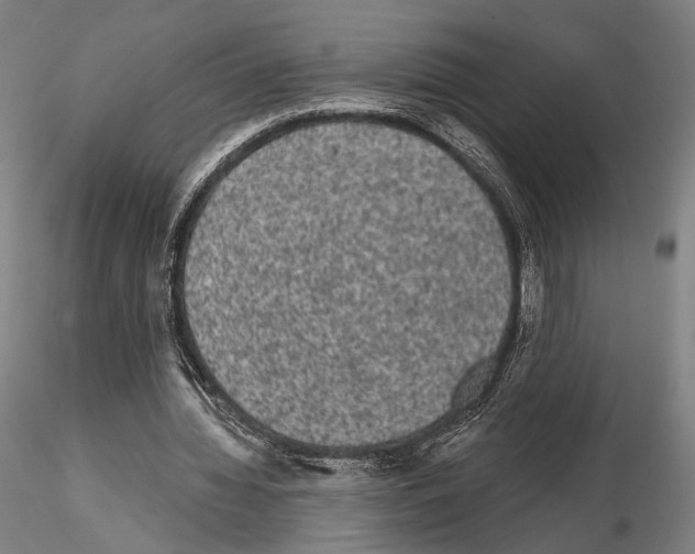 X0000114990436200912071120