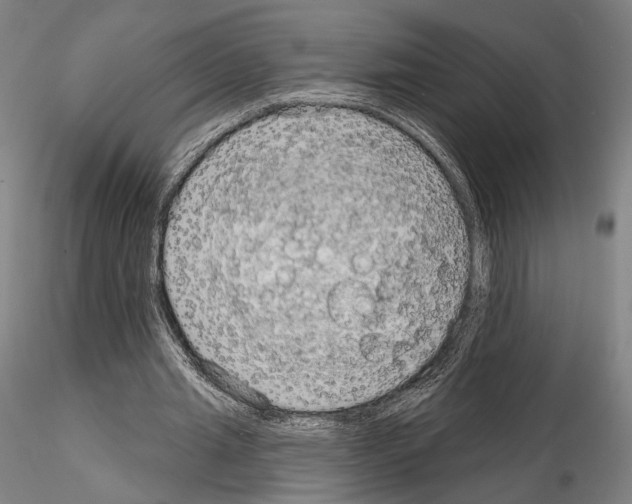 X0000114990437200912071120