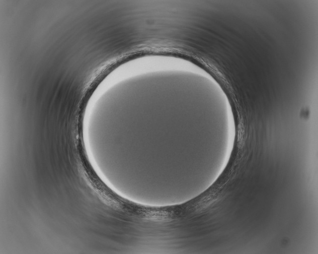 X0000114990438200912071120