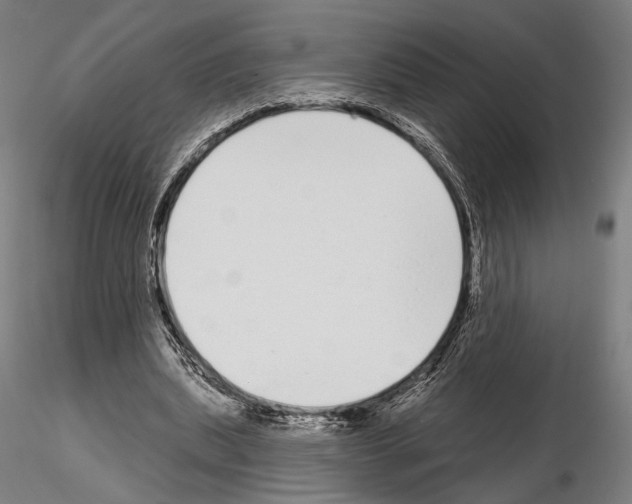 X0000114990439200912071120