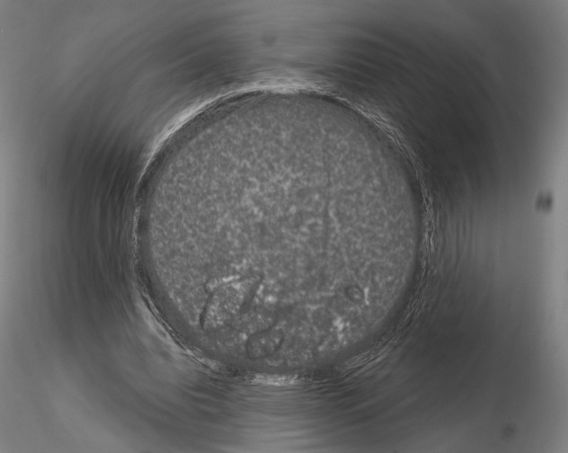 X0000114990440200912071120