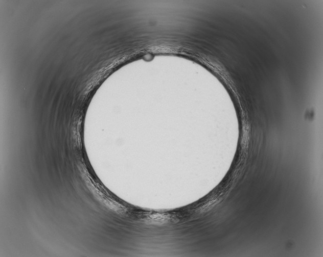 X0000114990441200912071120