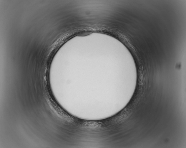 X0000114990443200912071120