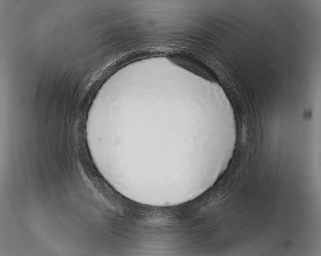 X0000114990444200912071120