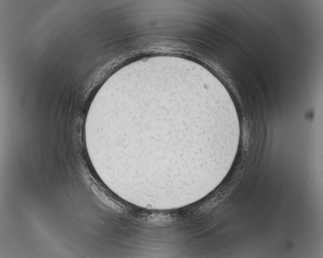 X0000114990445200912071120