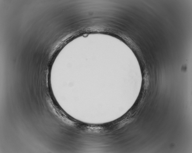 X0000114990446200912071120