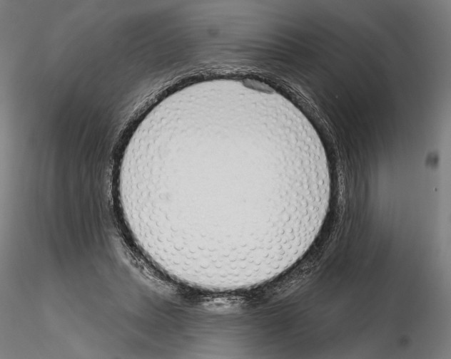 X0000114990447200912071120