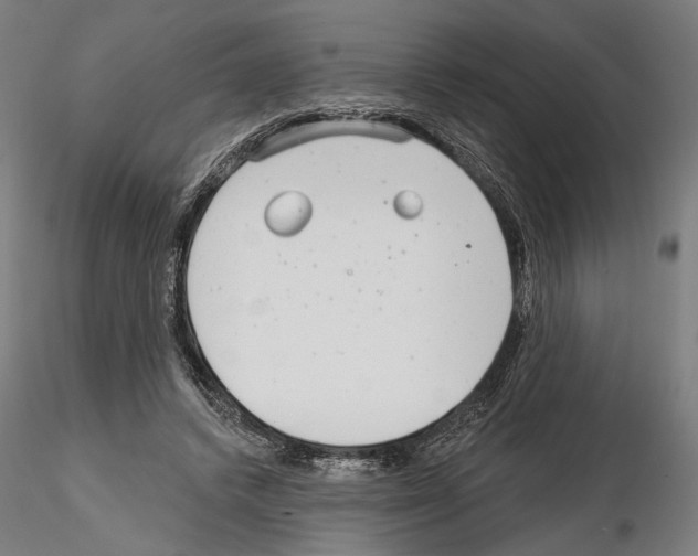 X0000114990448200912071120