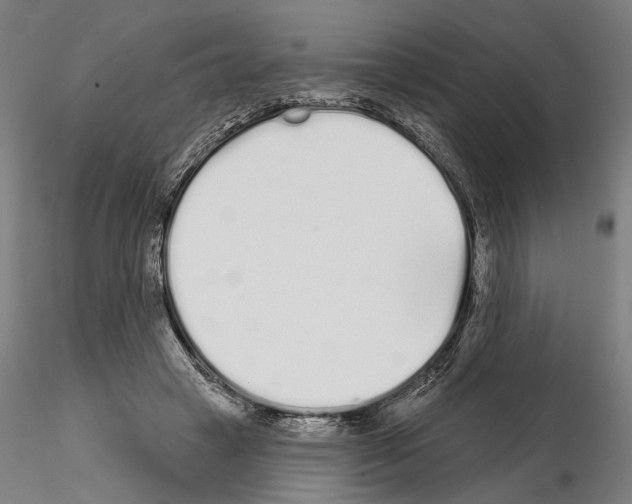 X0000114990449200912071120