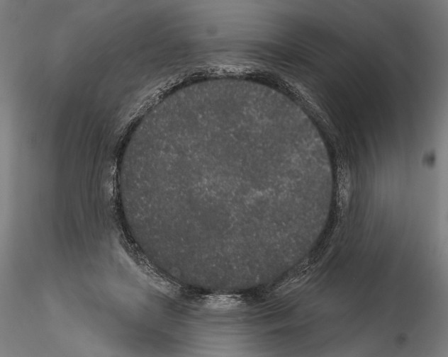 X0000114990451200912071120