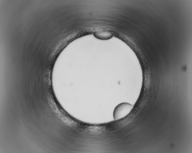 X0000114990453200912071120