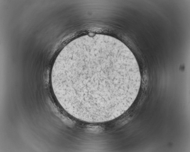 X0000114990454200912071120