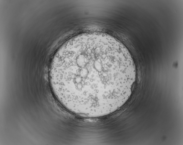 X0000114990457200912071120